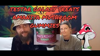 TESTAR AMANITA MUSHROOM GUMMIES LAGLIG PSYCHADELIC [upl. by Nelrah65]