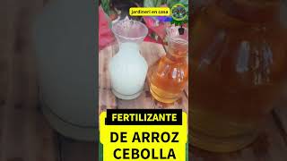 Cómo Hacer Fertilizante Casero con Cebollas y Arroz ¡Fácil y Efectivo [upl. by Lleraj]