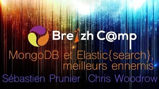 MongoDB et Elasticsearch meilleurs ennemis [upl. by Wojak]