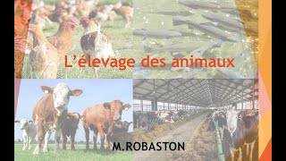 6ème Lélevage des animaux SVT [upl. by Macknair958]