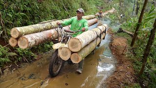 Dangerous Method They Use to Transport Gigantic Logs in Forest [upl. by Hannahoj]