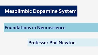 Mesolimbic Dopamine and Goal Directed Behaviour [upl. by Peh991]