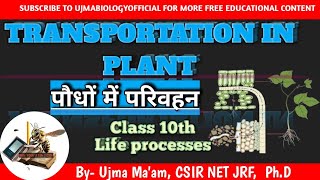 पौधों में परिवहन Transportation in Plant Life processes  class 10  🔥  Ujmabiologyofficial [upl. by Yarised]