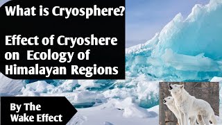 What is Cryosphere  Effect of Cryoshere on Human beings [upl. by Raamaj]