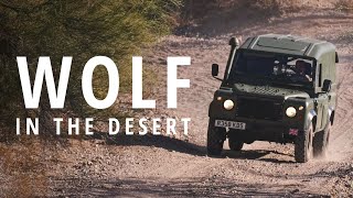 Desert Test Drive in the 1998 Land Rover Wolf 110  V22E2 [upl. by Kcirdnek810]