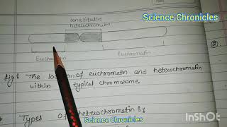 Euchromatin and heterochromatin hpu msc botany [upl. by Bowman]