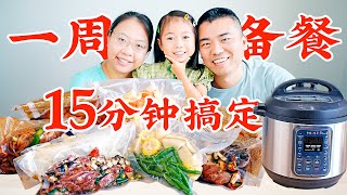 史上最强备餐！15分钟准备一周餐食！Instant Pot快手菜 5 Meal Prep Ideas You Cant Miss [upl. by Molini]