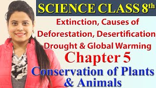 Extinction Causes of Deforestation Desertification Drought amp Global Warming  Chapter 5  Class 8 [upl. by Oiluarb620]