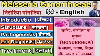 Neisseria Gonorrhoeae Microbiology  Neisseria Gonorrhoeae in hindi  Bacteria notes microbiology [upl. by Tirma]