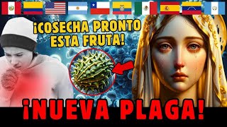 🚨😱 Alerta Urgente ¡Acaba de llegar una noticia inesperada sobre la Virgen María [upl. by Jenifer]