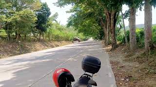 V92🥰Farm amp Business lot Along Maharlika Highway For sale 10 hectares Farm W Restaurant [upl. by Eignav118]