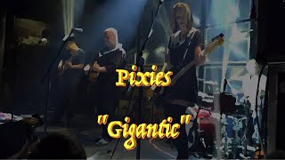 Pixies  “GIgantic”  Guitar Tab ♬ [upl. by Emixam795]