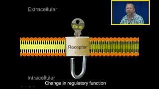 Introduction to Pharmacology [upl. by Niltiak]