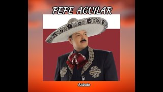 PEPE AGUILAR  SALADO LETRA [upl. by Banwell]