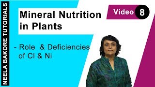 Mineral Nutrition in Plants  NEET  Role amp Deficiencies of Ca amp Ni  Neela Bakore Tutorials [upl. by Darla857]