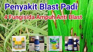 Obat Penyakit Blast Padi  Blast daun  Blast leher [upl. by Kred49]