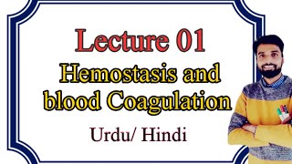 Hemostasis Blood Clotting  Coagulation of blood in Urdu Hindi [upl. by Valeta682]