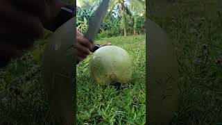 Calabash peeling expert [upl. by Leda]