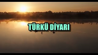 TÜRKÜ DİYARI  TÜRK HALK MÜZİĞİ türküler [upl. by Buff]