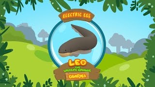 Electric Eel  Leo The Wildlife Ranger Animal Diaries  Animal Facts for Kids [upl. by Adieren]