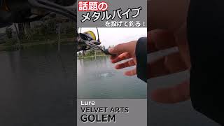 話題の鉄板ルアーはよく釣れる！shorts 釣り fishing エリアトラウト trout 管理釣り場 [upl. by Oiliduab]