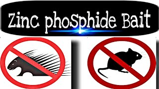 ZINC PHOSPHIDE BAIT  HOW TO CONTROL MICE RATS amp PORCUPINE [upl. by Uella]