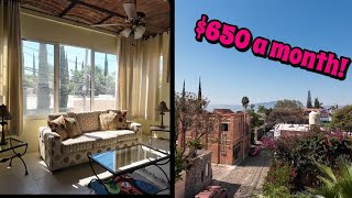 Ajijic Real Estate Tour  3 apartment complex for sale [upl. by Eejan887]