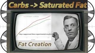 Carbohydrate consumption produces the LEAST healthy saturated fat in your liver [upl. by Shriner]