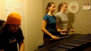 DragonForce Through the Fire and Flames Marimba [upl. by Selrhc]