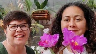 LIVE de ORQUÍDEAS a VENDA 💖🌷 Fran e Gislene em agosto [upl. by Ayeka283]