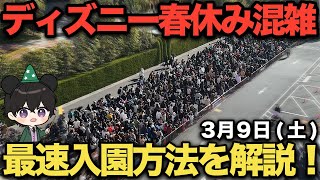 【最速入園方法を解説！】3月9日土ディズニー春休みシーズン到来！ ディズニーランド ディズニー混雑 [upl. by Levenson]