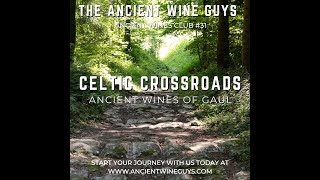 Celtic Crossroads Ancient Wines of Gaul [upl. by Aninay]