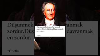 Goethe Düşünmek ve davranmakfelsefe [upl. by Anoirb]