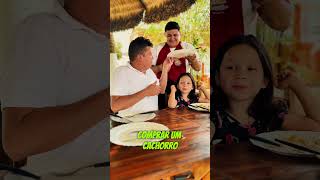 Levar pro cachorro Parte 2 viralvideo humor comedia memes [upl. by Adnirod]