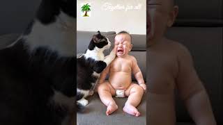 Cat Comforts Crying baby 🐥🍼 shorts youtubeshorts baby [upl. by Marabel909]