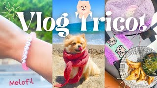 🟢 Vlog Tricot  9  1 semaine de tricot avec moi 🤗 [upl. by Cahra183]