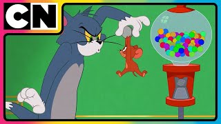 Tom and Jerry  Jerry the Troublemaker  Cartoon for Kids  Only on Cartoon Network India [upl. by Tamarra]