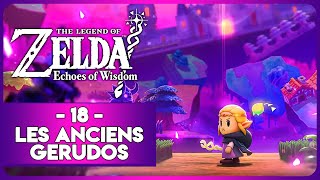 ZELDA ECHOES OF WISDOM 18  LES ANCIENS GERUDOS [upl. by Niall664]