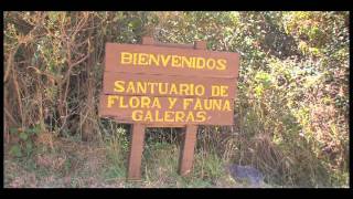 SANTUARIO DE FAUNA Y FLORA GALERAS [upl. by Klemens]