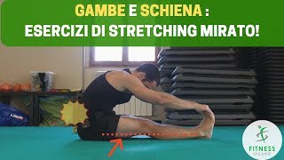 Esercizi di STRETCHING per le GAMBE e per la SCHIENA [upl. by Hgeilhsa]