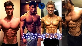 ¡AESTHETICS  Fitness Motivation [upl. by Barbe573]