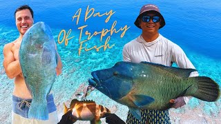 I Finally Catch My Dream Fish On The Great Barrier Reef [upl. by Etnahs]