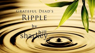 Ripple  Grateful Dead coverlive by Bill Sharkey [upl. by Laekim58]