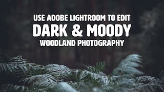 How to create DARK AND MOODY TONES for woodland photography in Adobe Lightroom [upl. by Lachance]