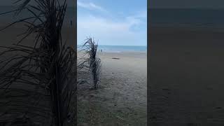 Pantai Lagenda Pekan Pahang [upl. by Fons]