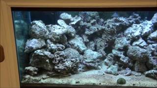 DIY LED Reef Aquarium Light  Part 1 [upl. by Merna]