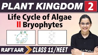 Plant and Kingdom 02  Life Cycle of Algae  Bryophytes  Class 11NEET  RAFTAAR [upl. by Sinclare]