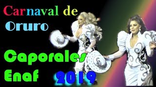 Carnaval de Oruro 2019 OruroBolivia Caporales quotENAFquot [upl. by Badger]