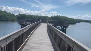 Weedon Island Preserve Boardwalk [upl. by Mcgee]