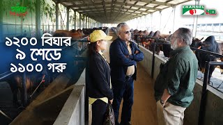 গরু মোটাতাজাকরণের আধুনিক খামার আলমগীর র‍্যাঞ্চ  Shykh Seraj  Channel i [upl. by Anaya227]